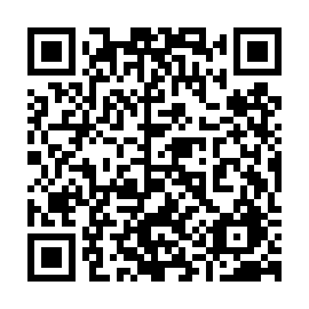QR code for 919 DRG