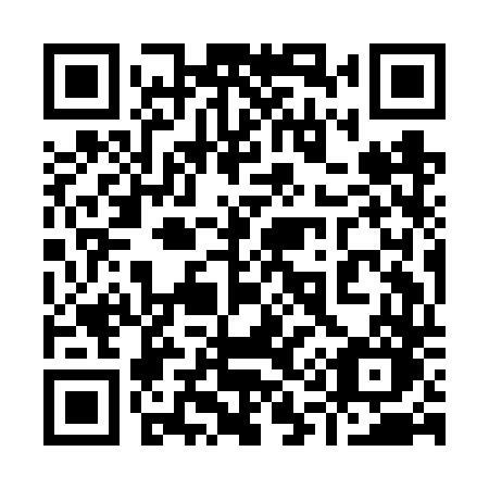 QR code for 919 FTO