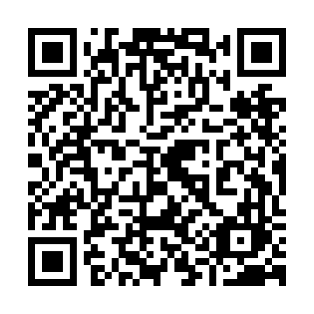 QR code for 919 NFL