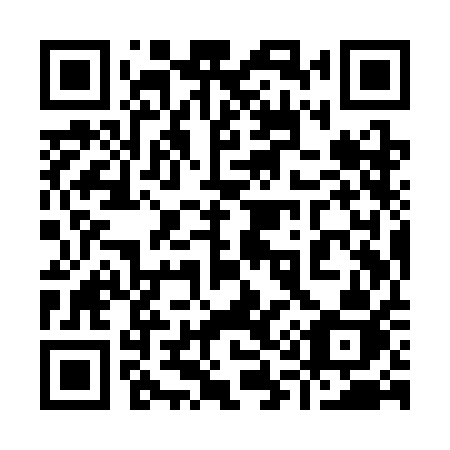 QR code for 919 SAJ