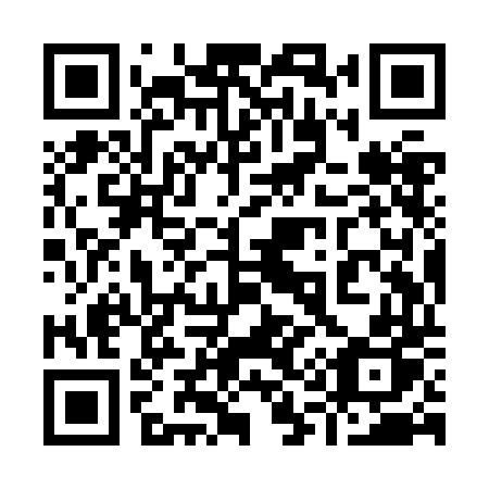 QR code for 919 ZDP