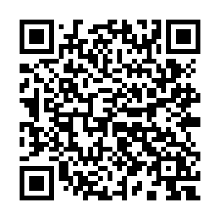 QR code for 919 ZDX