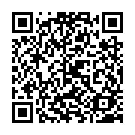 QR code for plate 919 CPK