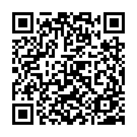 QR code for plate 919 CTU