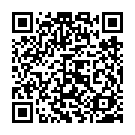 QR code for plate 919 FRI