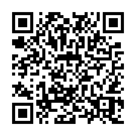 QR code for plate 919 FUR