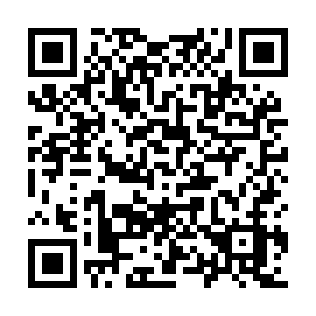 QR code for plate 919 MCZ