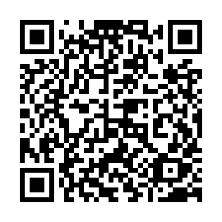 QR code for 919OXX