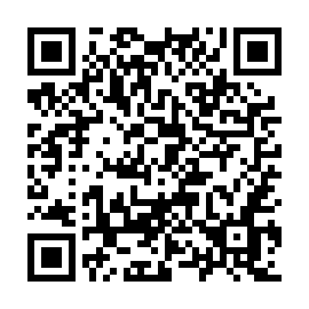 QR code for plate 919 PEN