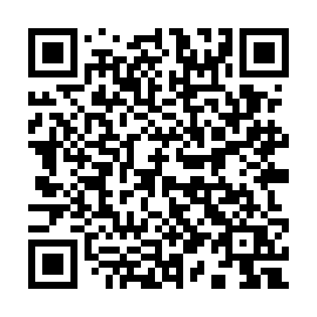 QR code for plate 919 UJQ
