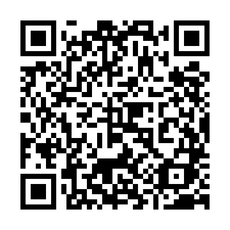 QR code for plate 919 ULI