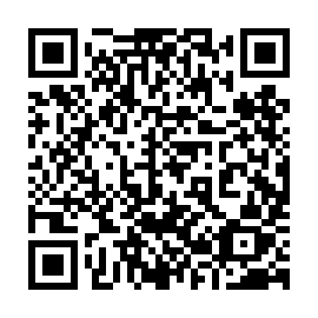 QR code for plate 920 DIZ