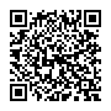QR code for 941 DIP