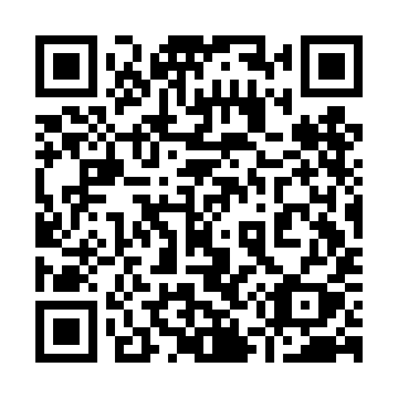 QR code for 953DIY