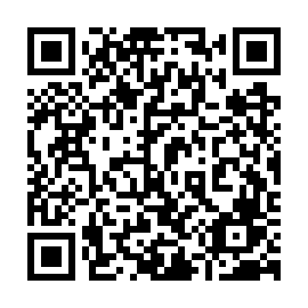 QR code for plate 953 GVV
