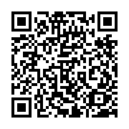 QR code for plate 953 NEZ
