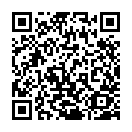 QR code for plate 953 XHZ