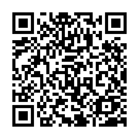 QR code for plate 953 XKU