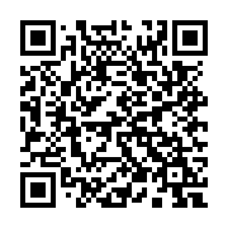 QR code for plate 955 OWM