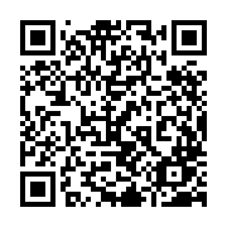 QR code for plate 959 XLT