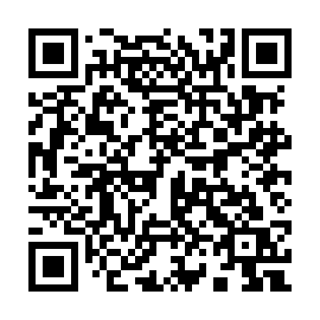 QR code for plate 960 MCS