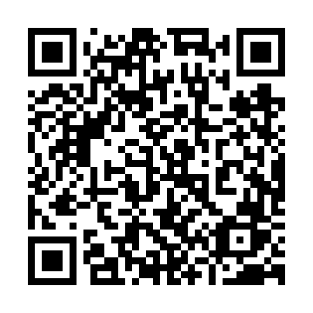 QR code for plate 960 VVR