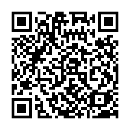 QR code for 961LSI