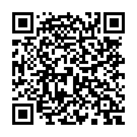QR code for plate 961 LUD