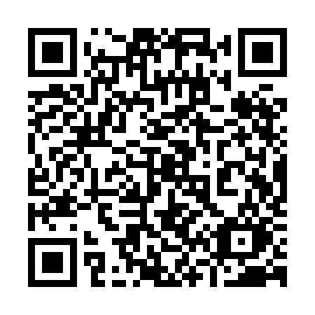 QR code for plate 961 XKO