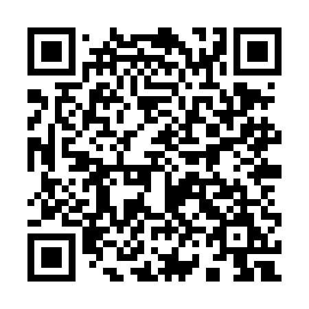 QR code for plate 968 TEM
