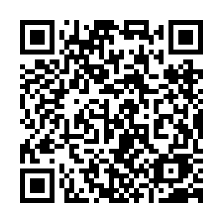 QR code for plate 969 RGE