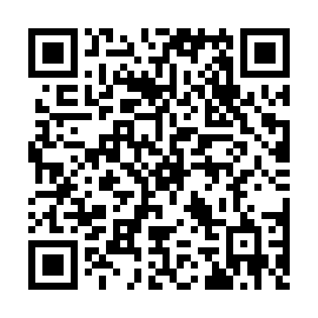 QR code for 971 PUB