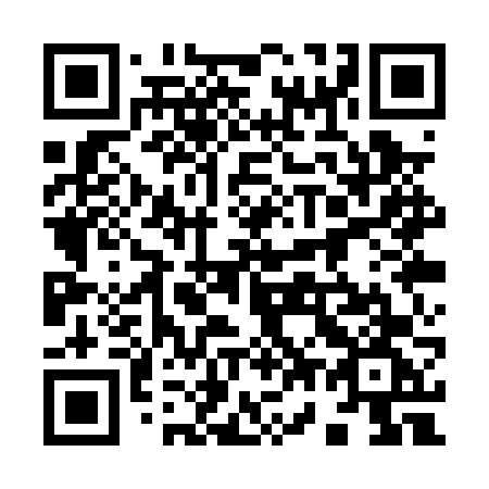 QR code for 971 PVG