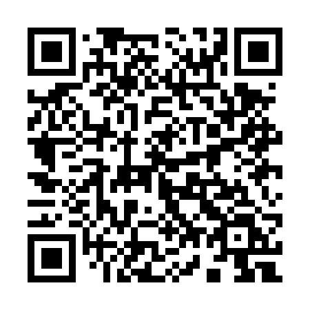 QR code for plate 971 DRL