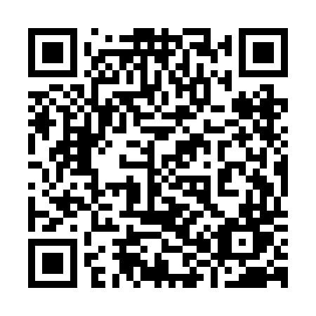 QR code for plate 989 BDT
