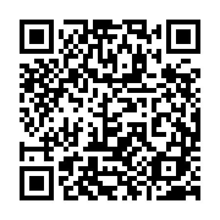 QR code for 990 IDI