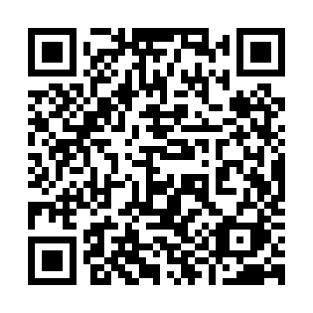 QR code for 991 PZI
