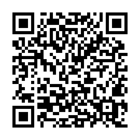 QR code for 991 ZMG