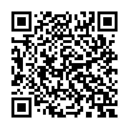 QR code for plate 991 APT