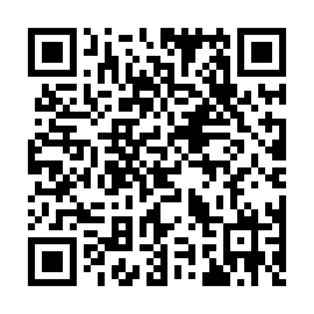 QR code for 991HLX