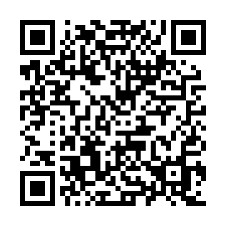 QR code for 991LQO