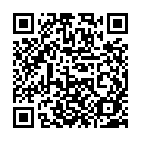 QR code for plate 991 MXM