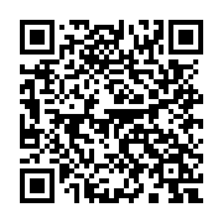 QR code for plate 991 OTN