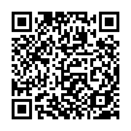 QR code for plate 991 QIA