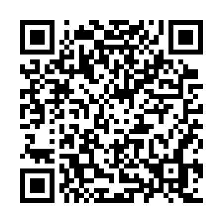 QR code for 991SVN
