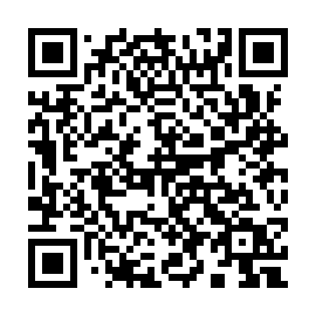 QR code for 993 IST