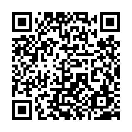 QR code for 993 TSV