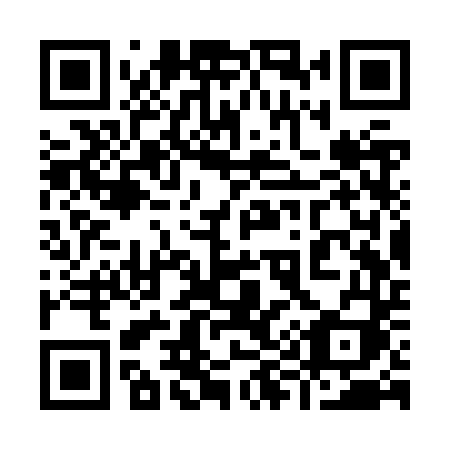 QR code for 993 ZTI