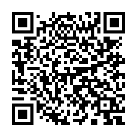 QR code for plate 993 NJP