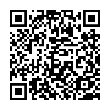 QR code for plate 993 RUU